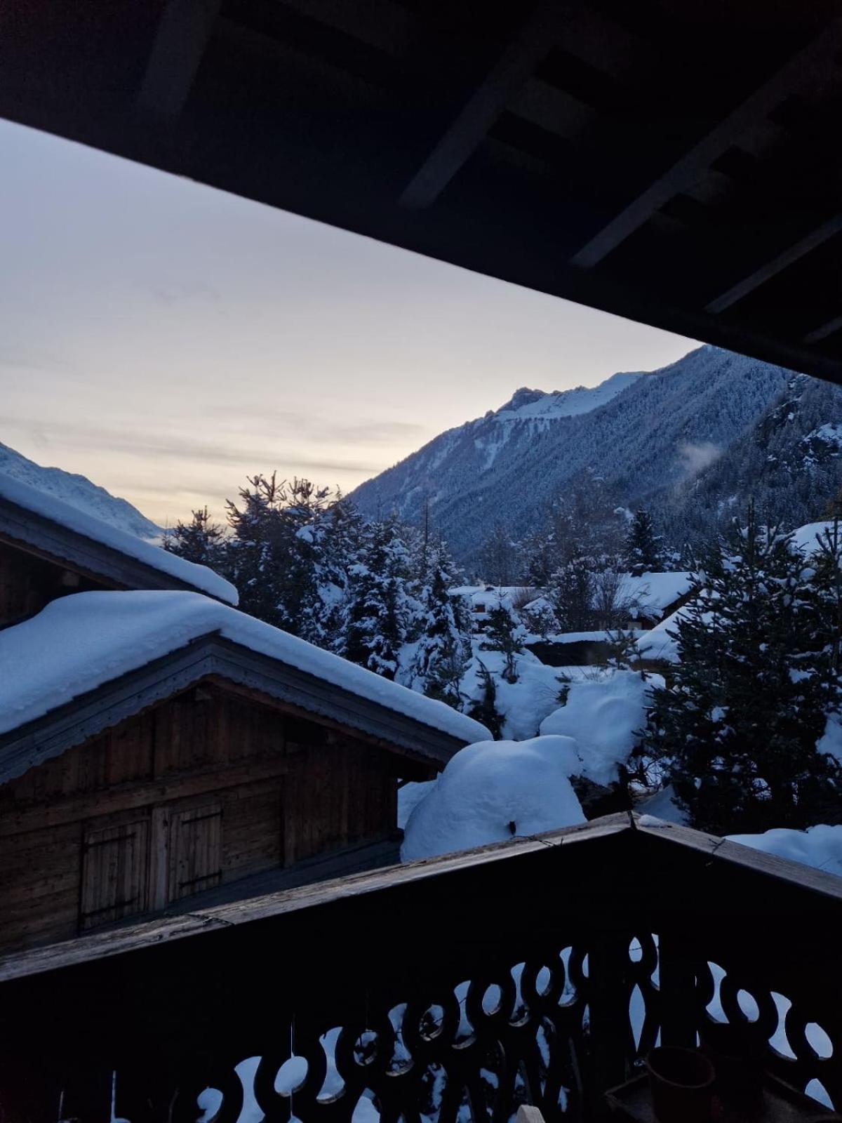 Appartement Ensoleille Aux Tines, Vue Massif Chamonix Exterior photo